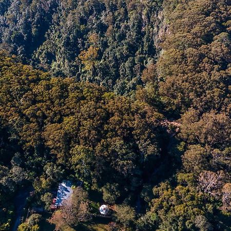 Purling Brook Falls Gwongorella Hotel Springbrook Buitenkant foto