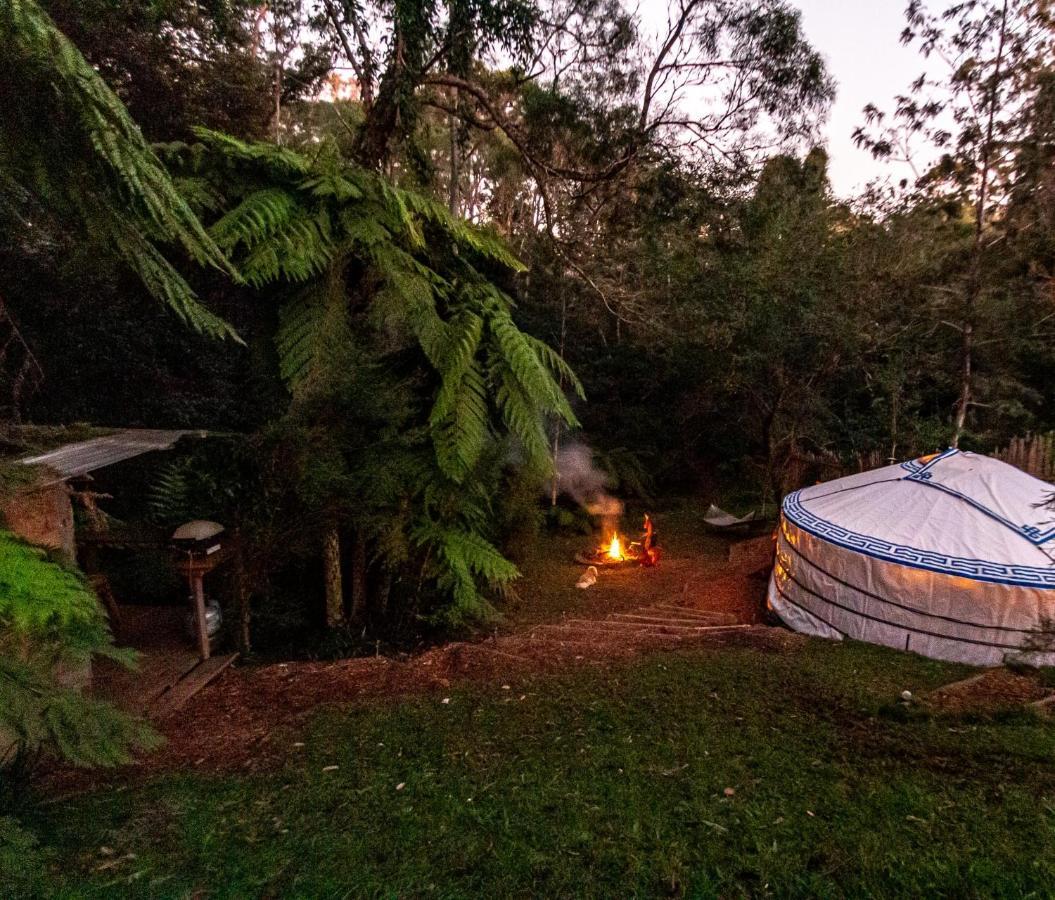 Purling Brook Falls Gwongorella Hotel Springbrook Buitenkant foto