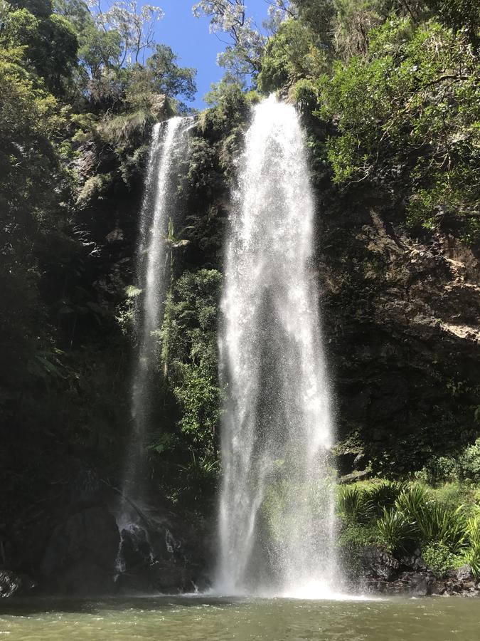 Purling Brook Falls Gwongorella Hotel Springbrook Buitenkant foto