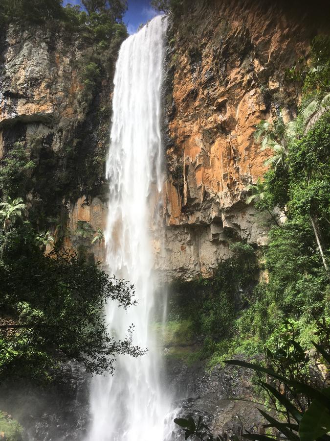 Purling Brook Falls Gwongorella Hotel Springbrook Buitenkant foto