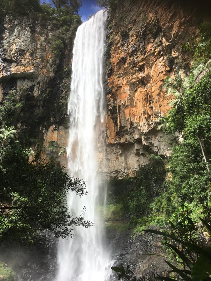 Purling Brook Falls Gwongorella Springbrook Buitenkant foto