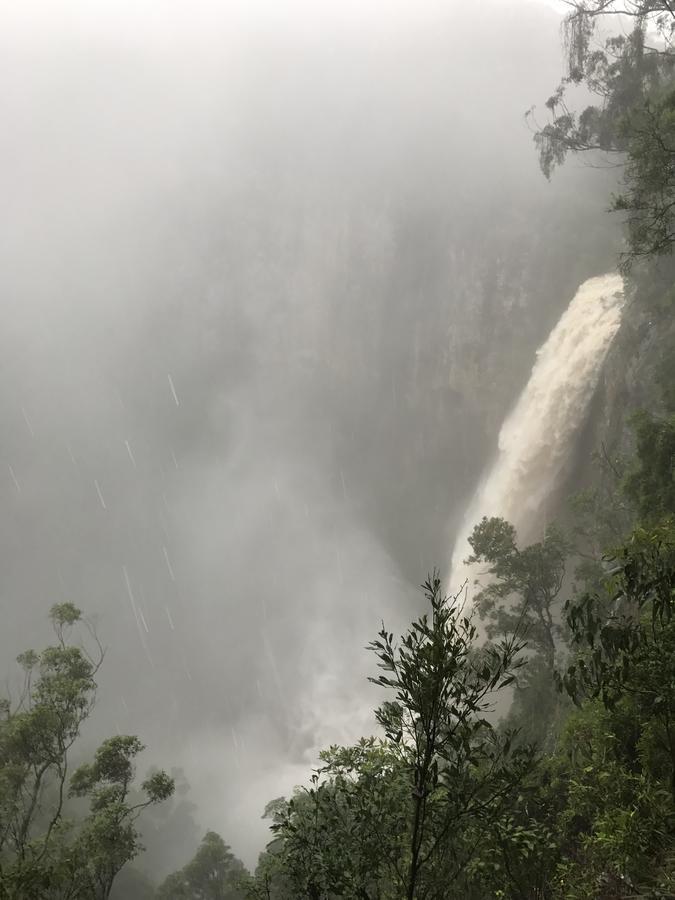 Purling Brook Falls Gwongorella Springbrook Buitenkant foto